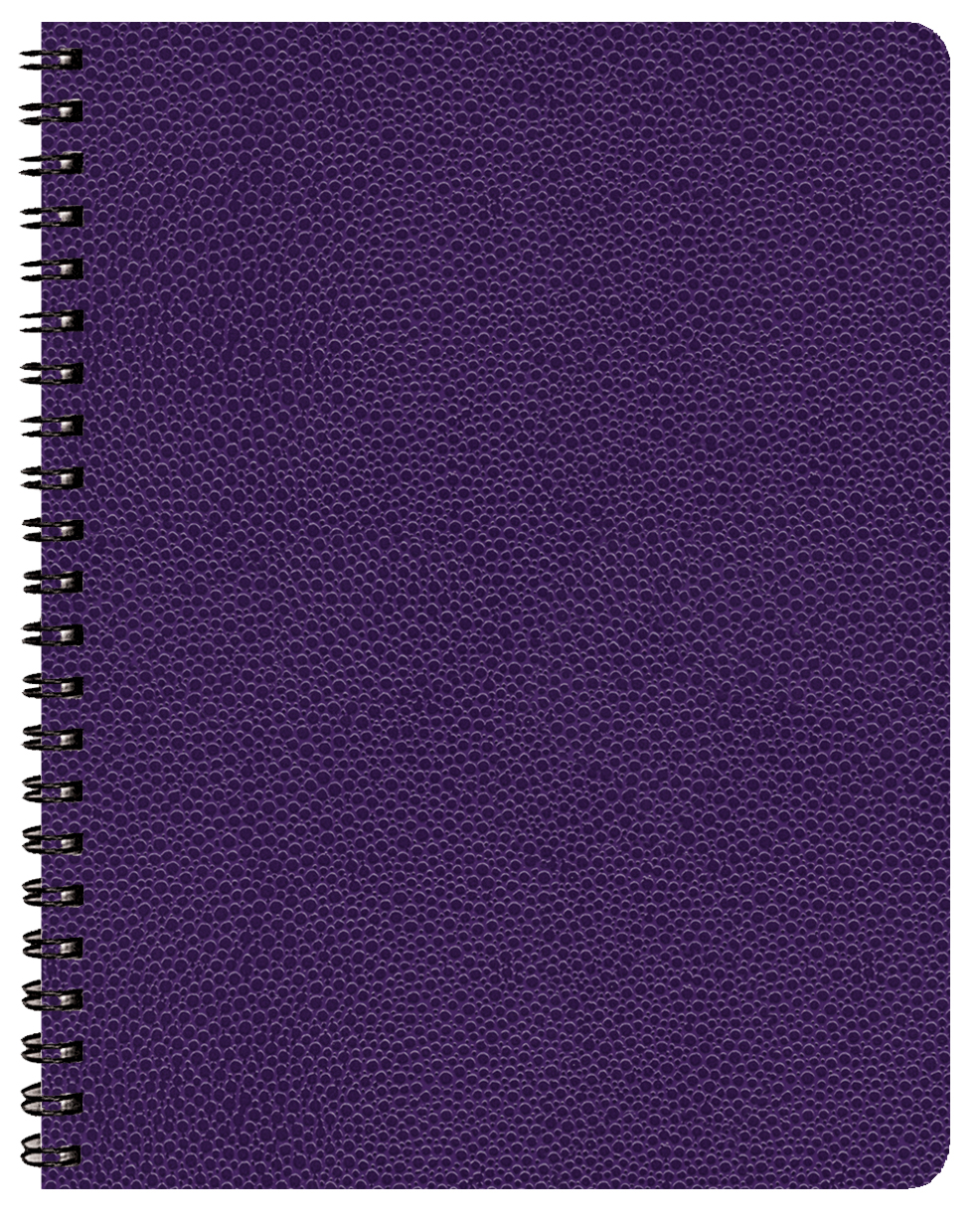 Time:Master Time Management Planner w/ Cobblestone Cover 1