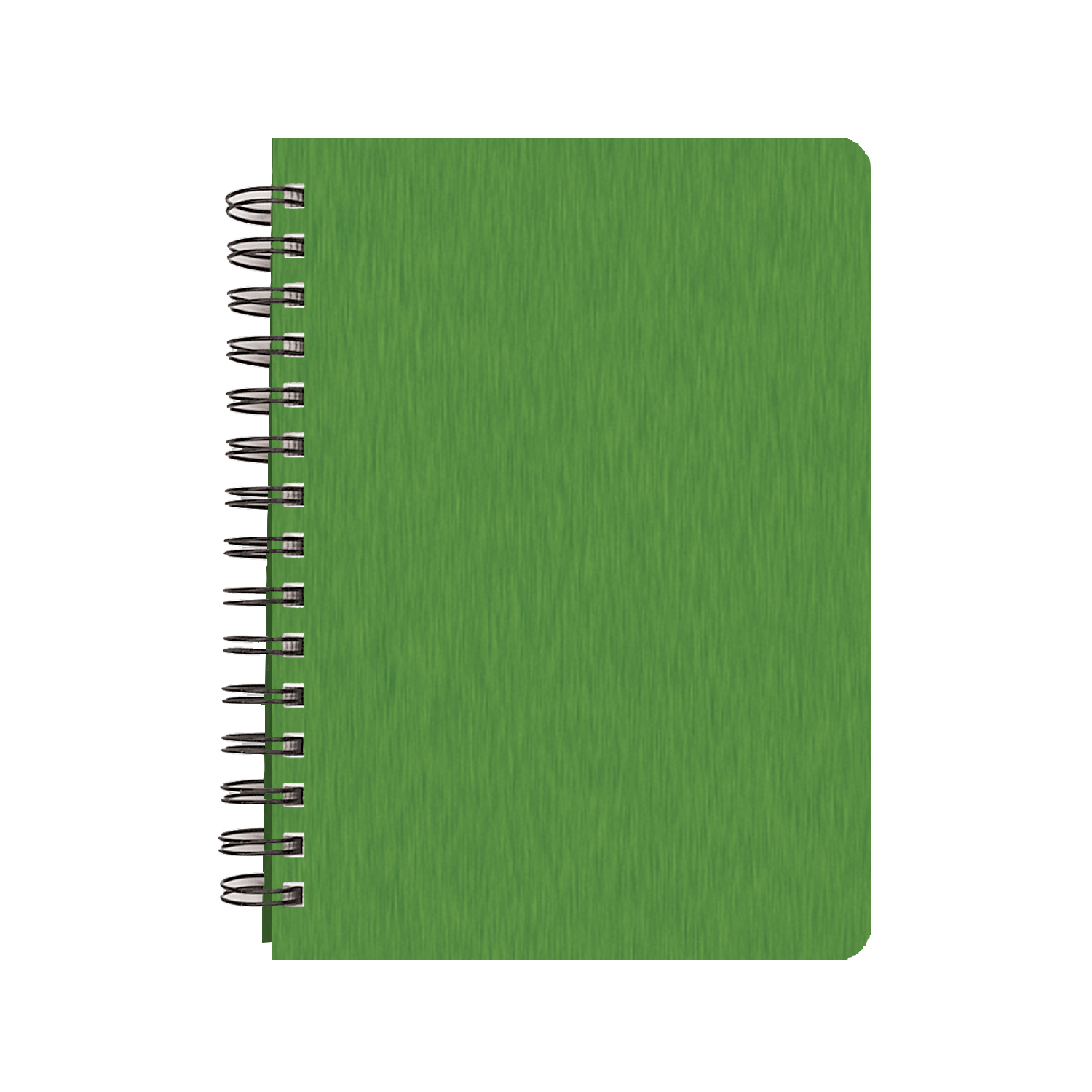 Daily Classic Wire Bound Diary w/ Shimmer Cover 1