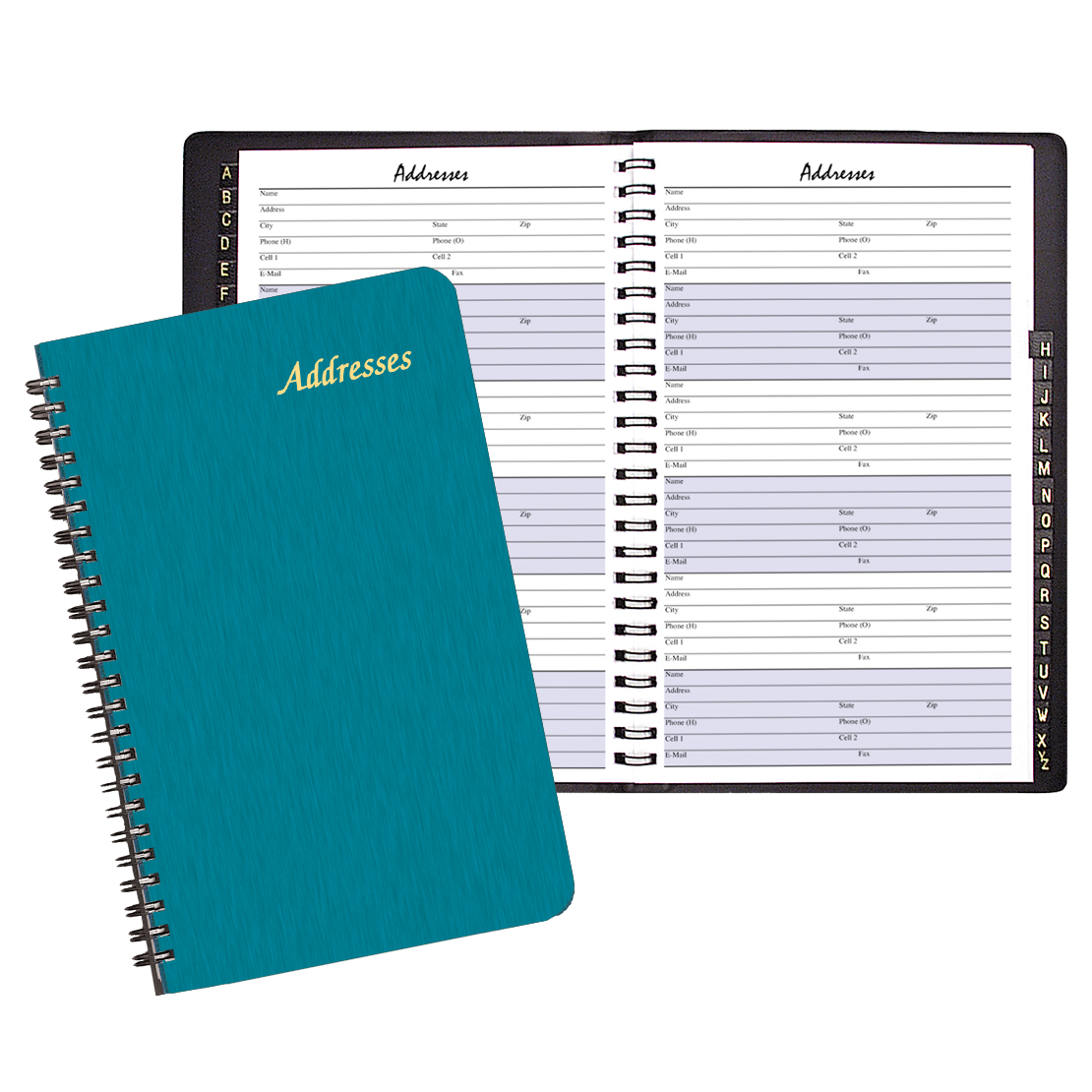 Large Address Book/ Shimmer Cover 1