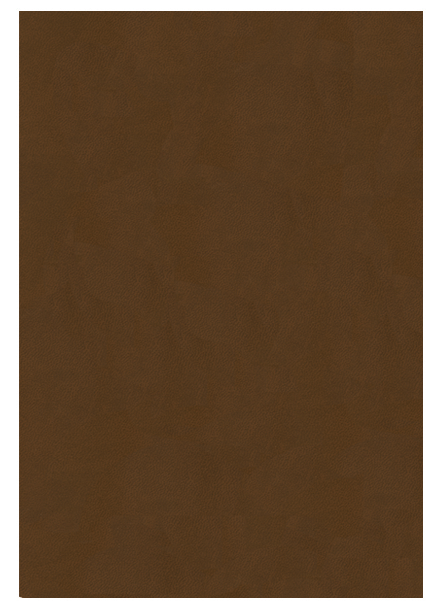 Monthly Desk Saddle Stitched Appointment Planner w/ Canyon Cover 1