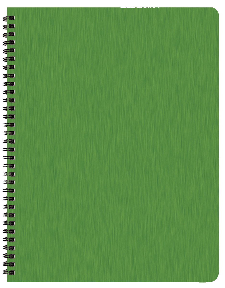 Professional Weekly Desk Appointment Planner w/ Shimmer Cover 1