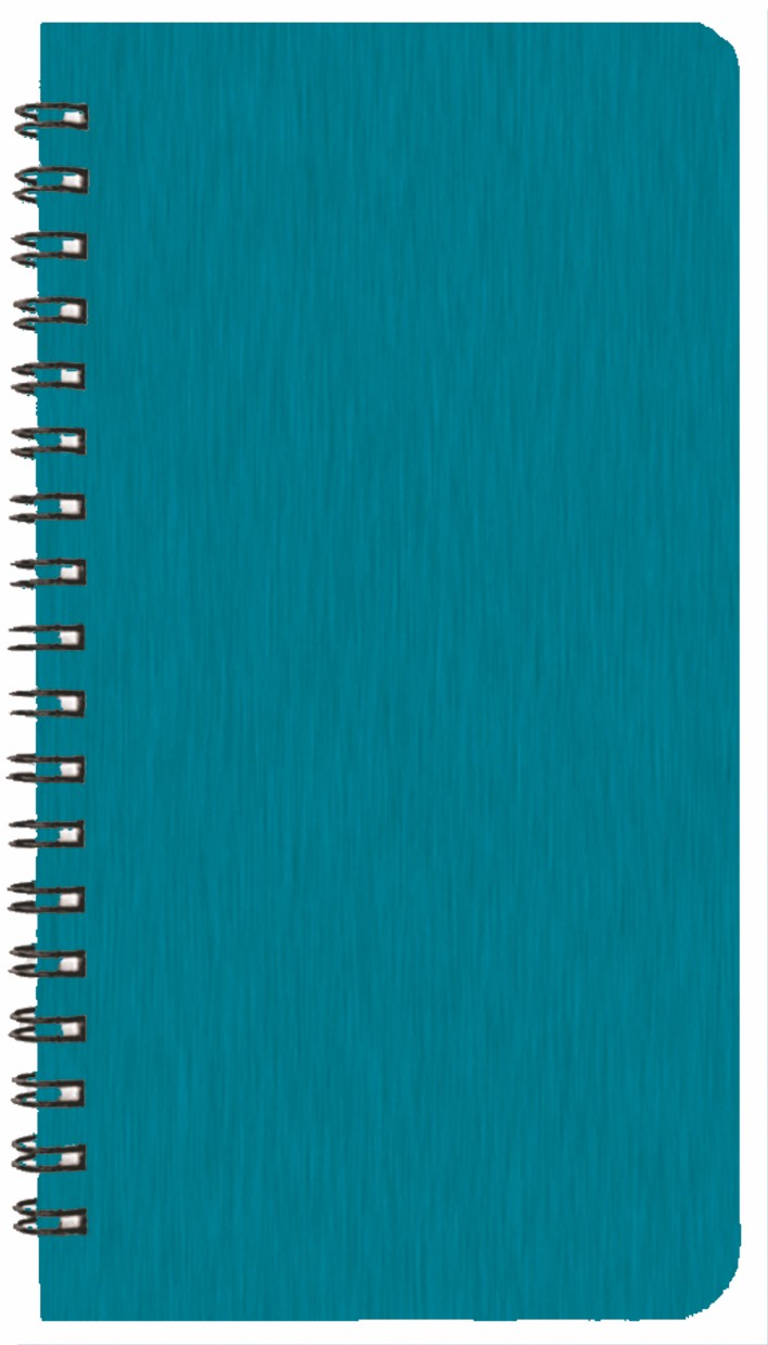 Time Management Pocket Planner w/ Shimmer Cover 1
