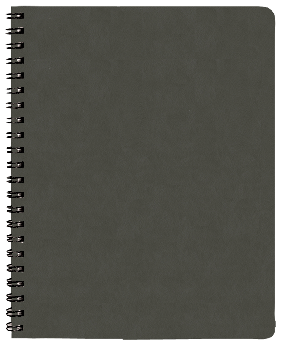 Time:Master Time Management Planner w/ Canyon Cover 1