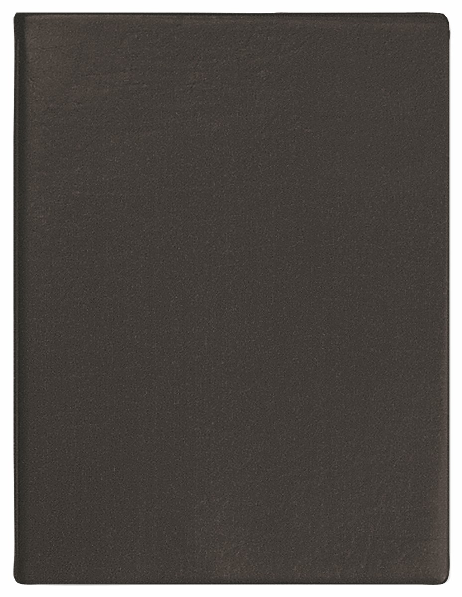 Monthly Desk Appointment Calendar/Planner w/ Continental Vinyl Cover 1