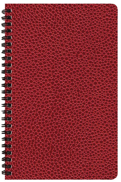 Two Year Monthly Desk Planner w/ Cobblestone Cover 1