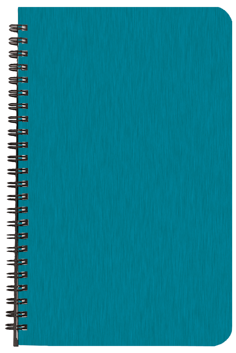 Academic Weekly Planner w/ Shimmer Cover 1