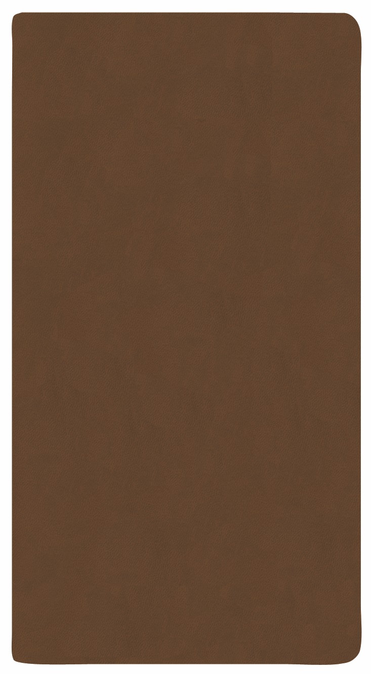 Monthly Pocket Planner w/ Canyon Cover 1