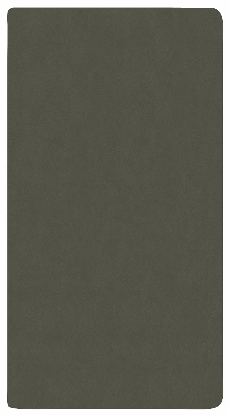 Monthly Pocket Planner w/ Canyon Cover 1