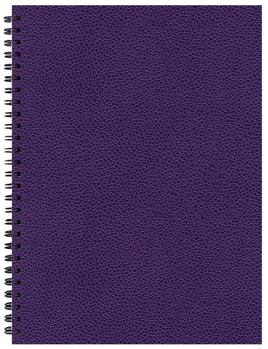 Student Assignment Planner w/ Cobblestone Cover 1