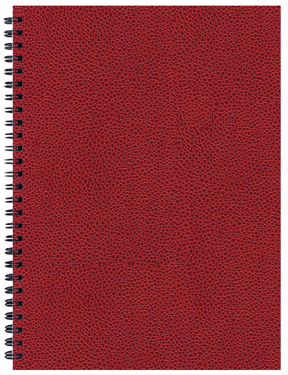 Student Assignment Planner w/ Cobblestone Cover 1