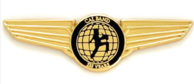 Die Cast Pin 1