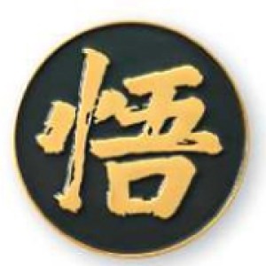 Die Struck Soft Enamel Lapel Pin 1 Die Struck Soft Enamel Lapel Pin 1