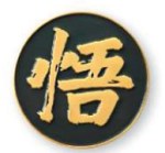 Die Struck Soft Enamel Lapel Pin 1 Die Struck Soft Enamel Lapel Pin 1