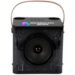 15w Karaoke Wireless Speaker with 2 mics 1 15w Karaoke Wireless Speaker with 2 mics 1