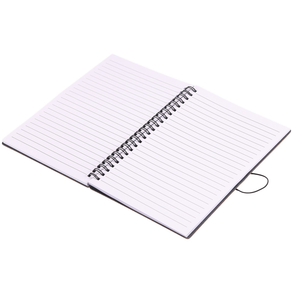 EarthTrendz 5.58.25 Spiral Notebook 1