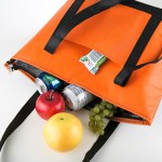 Newport Cooler Bag - Orange Blank Newport Cooler Bag - Orange Blank