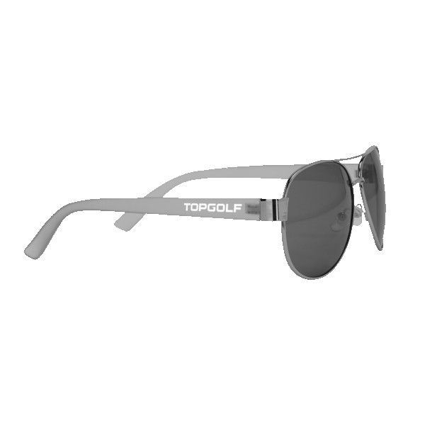 Aviator Sunnies 1