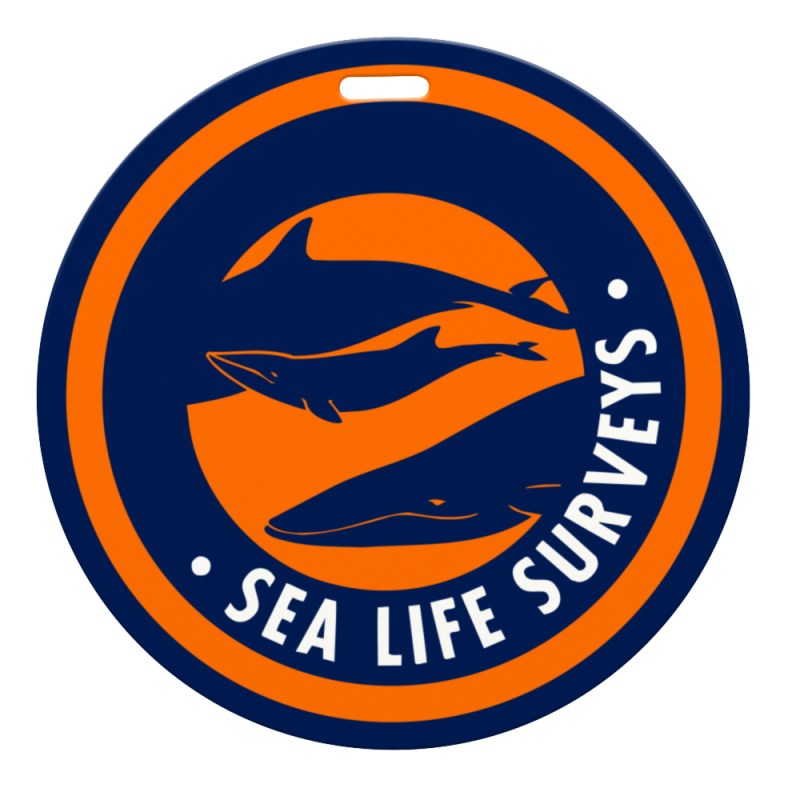 4" DIA Plastic Identification Badge 1 4" DIA Plastic Identification Badge 1