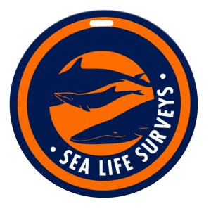 4" DIA Plastic Identification Badge 1 4" DIA Plastic Identification Badge 1