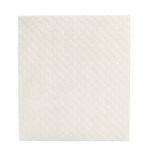 Lather Up Dish Cloth 2 Lather Up Dish Cloth 2