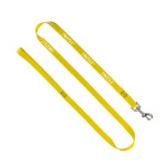 3/4" Smooth Nylon Pet Leash with Bright Metal Snap Hook - Orange 3/4" Smooth Nylon Pet Leash with Bright Metal Snap Hook - Orange