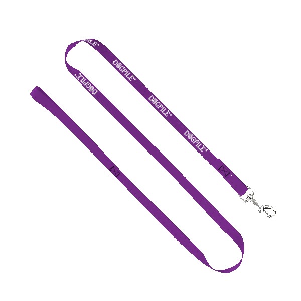 3/4" Smooth Nylon Pet Leash with Bright Metal Snap Hook 1