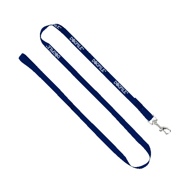 3/4" Smooth Nylon Pet Leash with Bright Metal Snap Hook 1