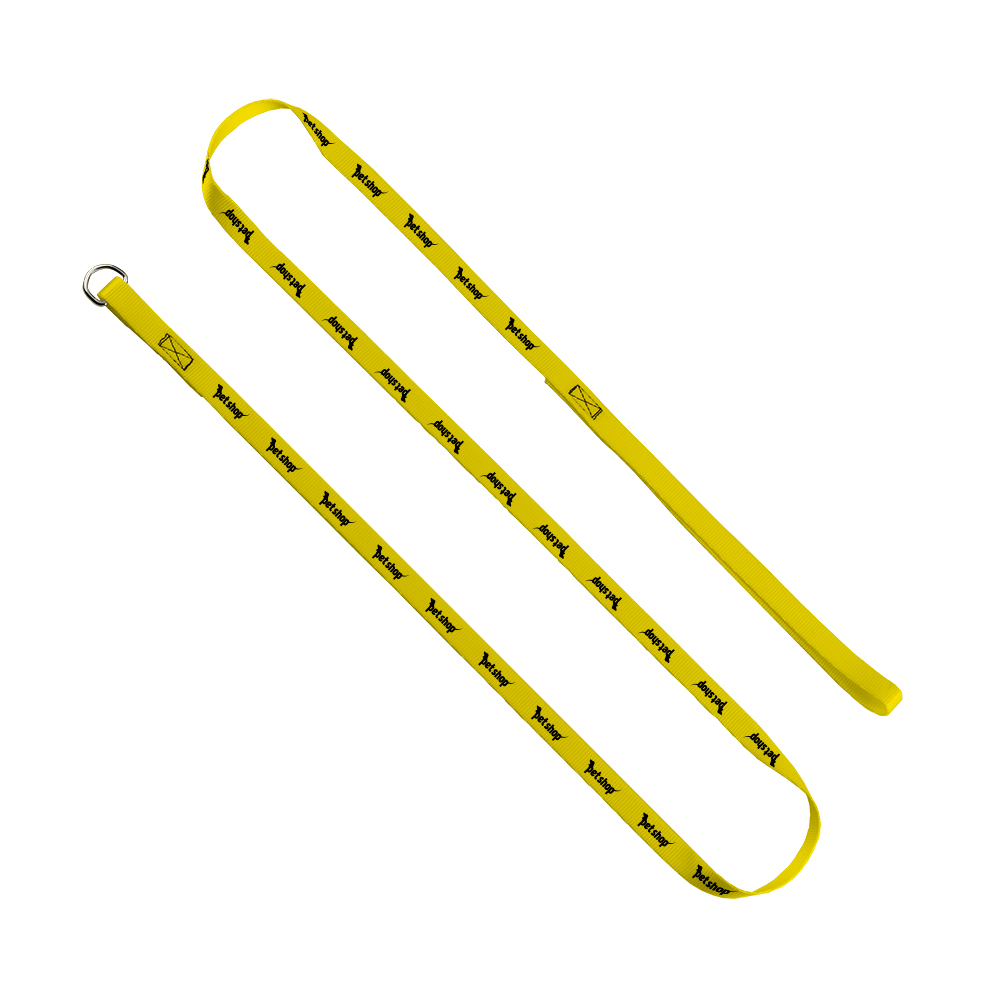 1/2" x 60" Smooth Nylon Pet Slip Leash 1