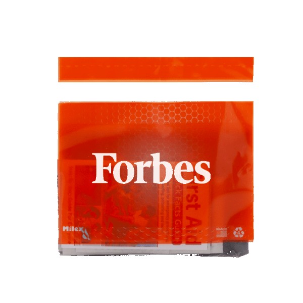 Basic First Aid Kit in a Resealable Plastic Bag 1