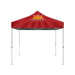 IMPORT 10%27 x 10%27 Canopy Package 1 IMPORT 10%27 x 10%27 Canopy Package 1