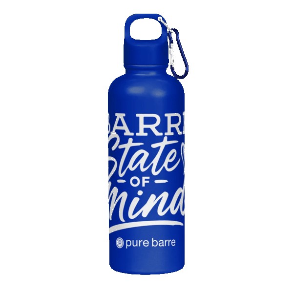 Hydraclasp 25 oz Single Wall Stainless Steel Water Bottle with Carabiner 1
