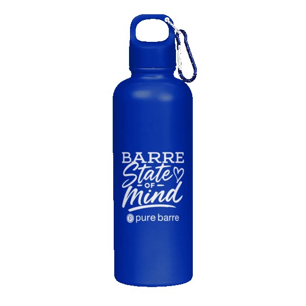 Hydraclasp 25 oz Single Wall Stainless Steel Water Bottle with Carabiner 1