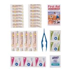 First Aid Kit in a Zippered Clear Nylon Bag - Blue First Aid Kit in a Zippered Clear Nylon Bag - Blue