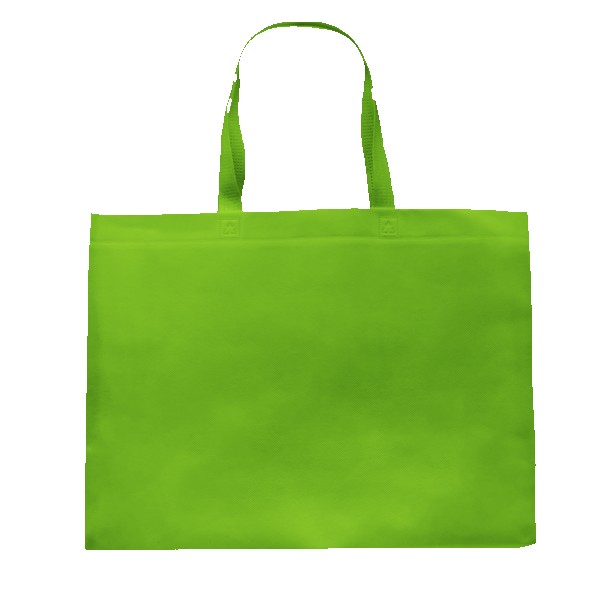 Pegasus Delhi Jumbo Size Tote Bag 1