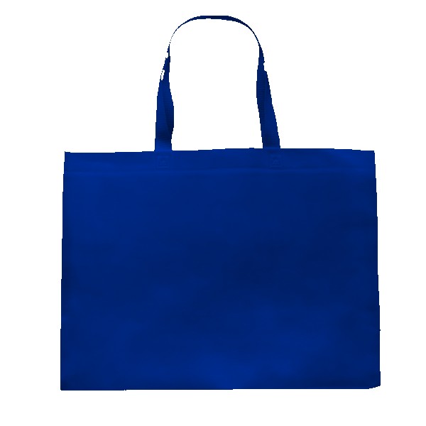 Pegasus Delhi Jumbo Size Tote Bag 1