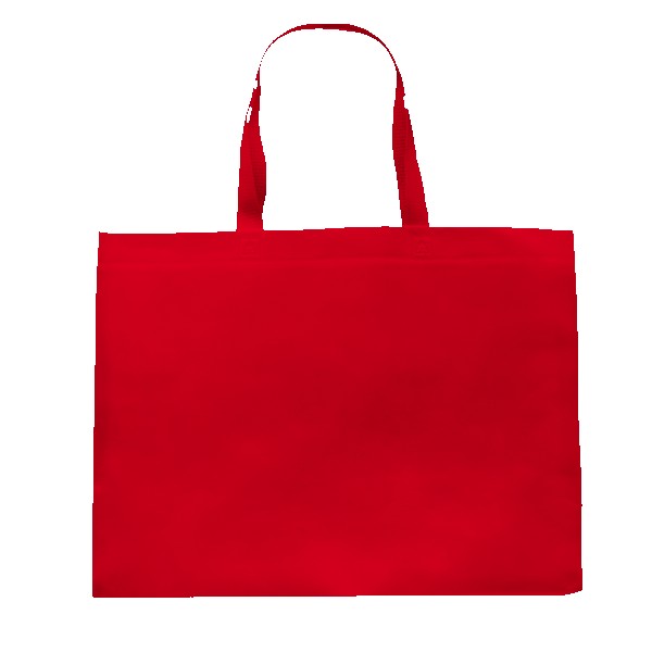 Pegasus Delhi Jumbo Size Tote Bag 1