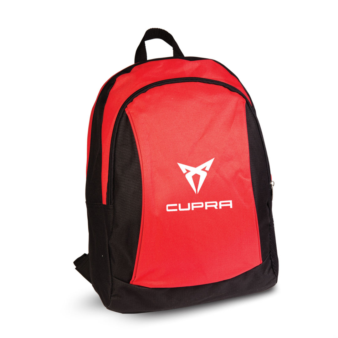 Functional Backpack 1