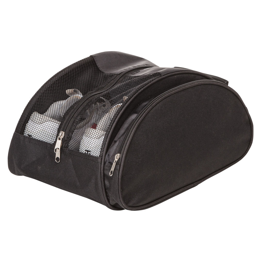 Carry All Shoe Bag 1