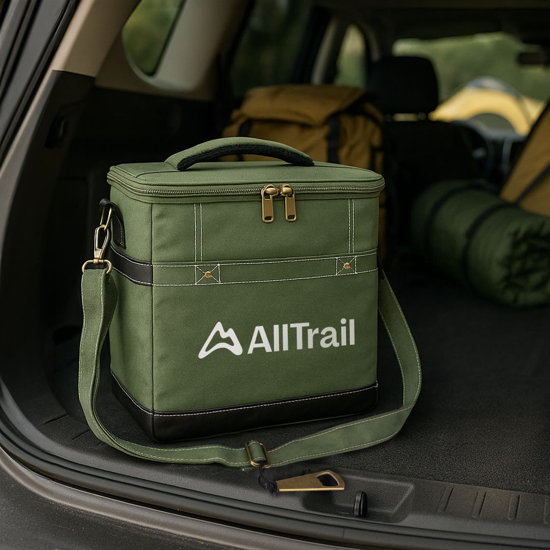 Chillmate Deluxe Cooler Bag 1