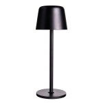 LumaTone Rechargeable Table Lamp 2 LumaTone Rechargeable Table Lamp 2