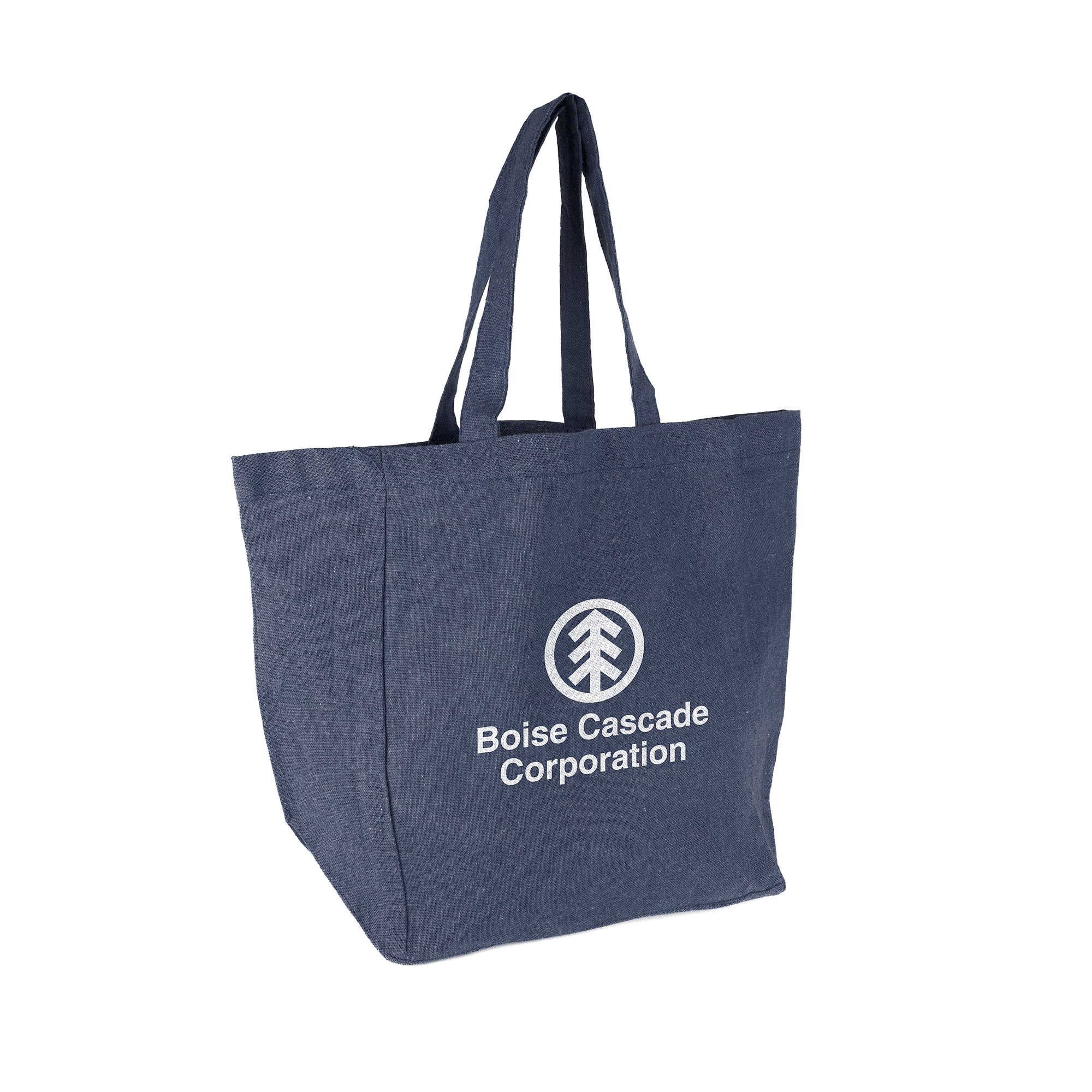 DailyCarry Eco Tote Bag 1