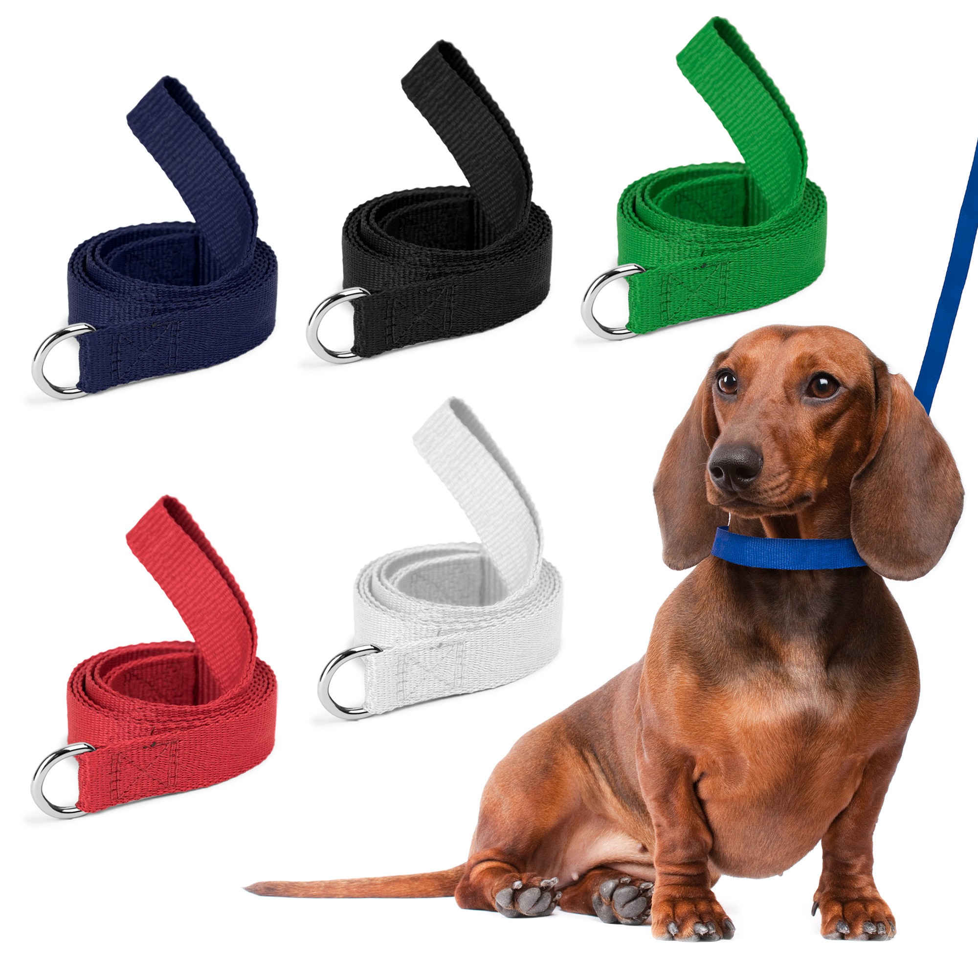 Dog Leash (QuickShip) 5-6 Weeks 1