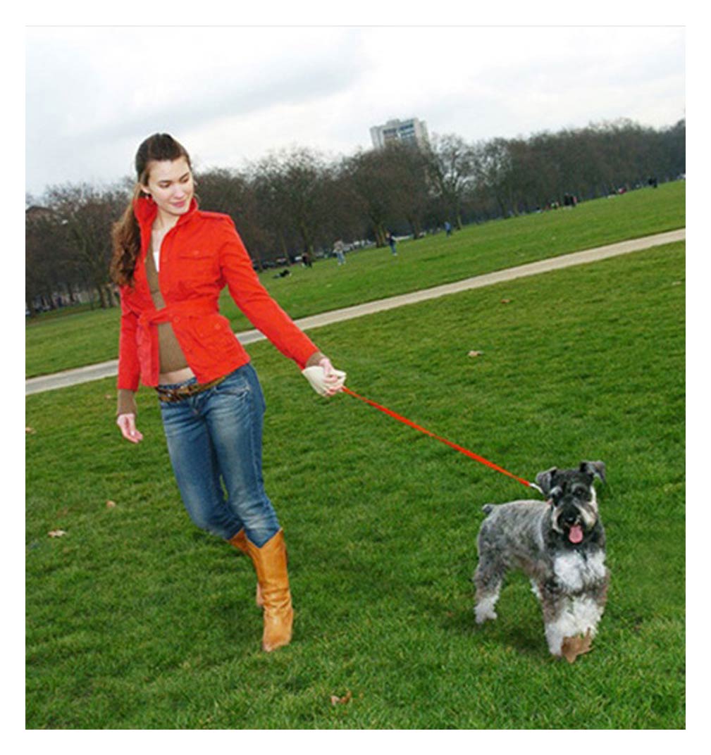 Dog Leash (QuickShip) 5-6 Weeks 1
