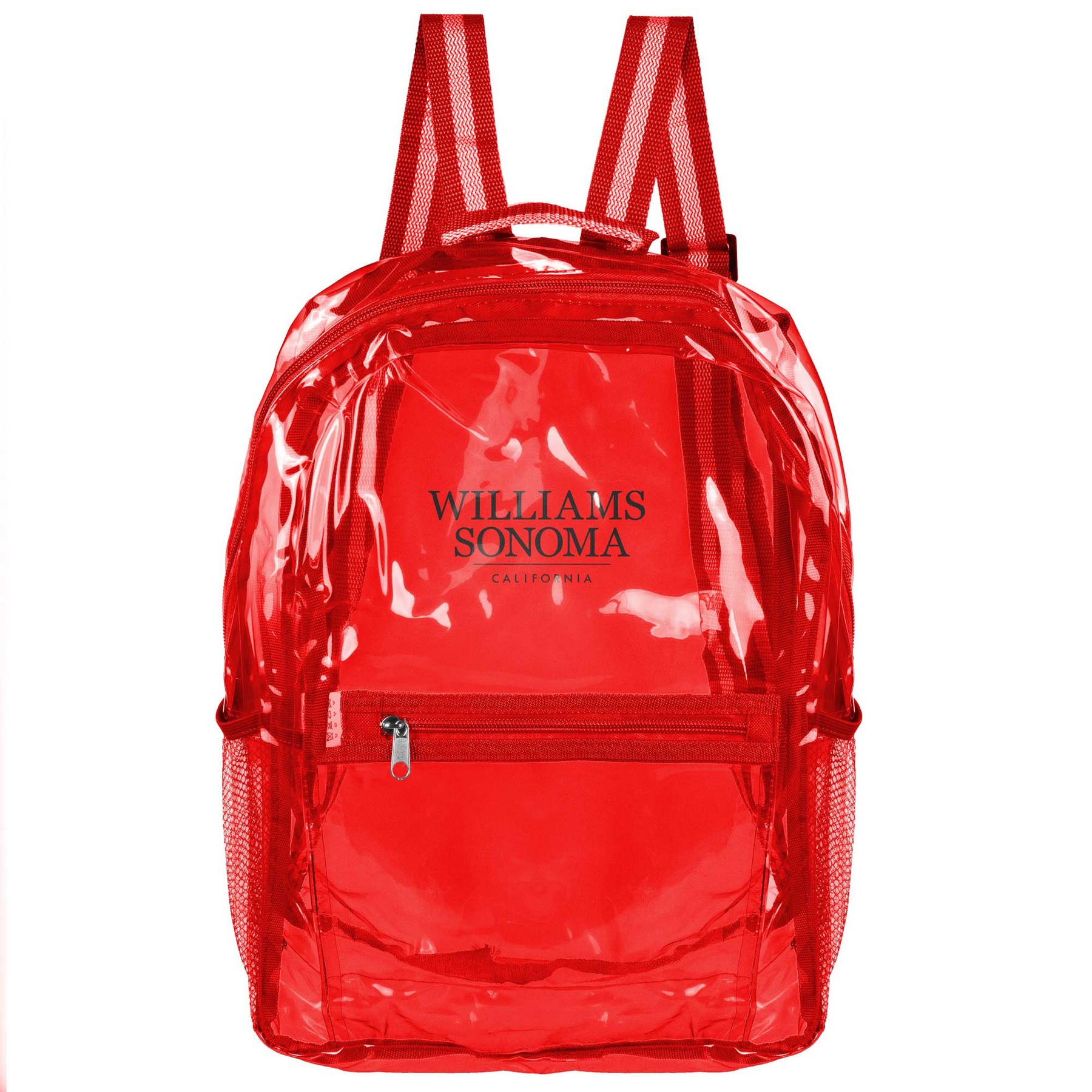 See-Through Water-Resistant Eco Travel Backpack 1