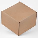 Brown Corrugated Small Box 2 Brown Corrugated Small Box 2