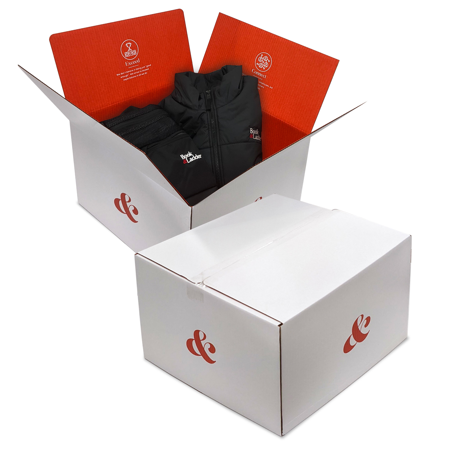 Full Color B-Flute Shipmaster Box Large Size 16" x 16" x10" 1