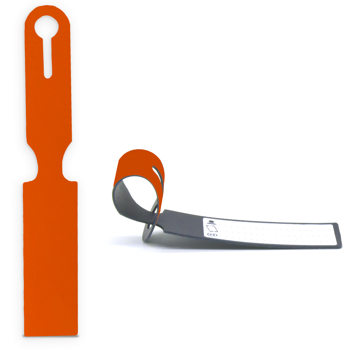 Classic Leather Luggage Tag 2