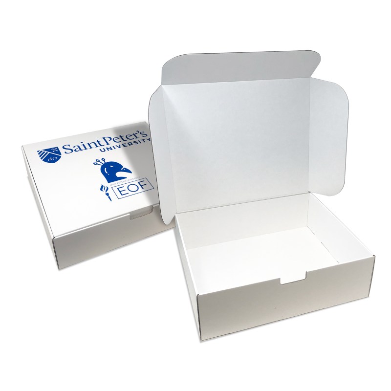 Custom Boxes Econolux Mailer Jumbo Size 13" x 11" x4" 1 Custom Boxes Econolux Mailer Jumbo Size 13" x 11" x4" 1