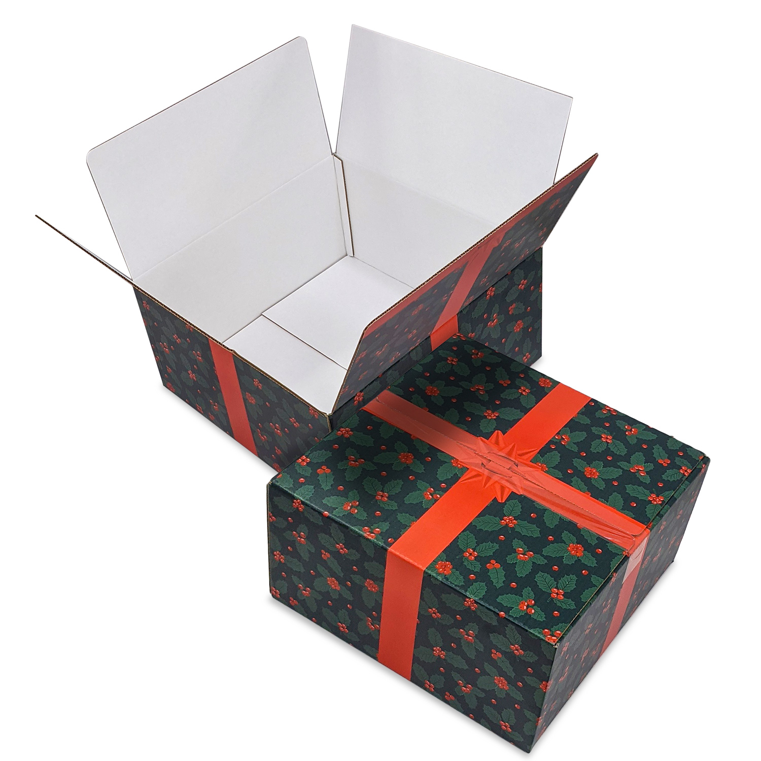 Full Color B-Flute Shipmaster Box Large Size 16" x 16" x 8" 1