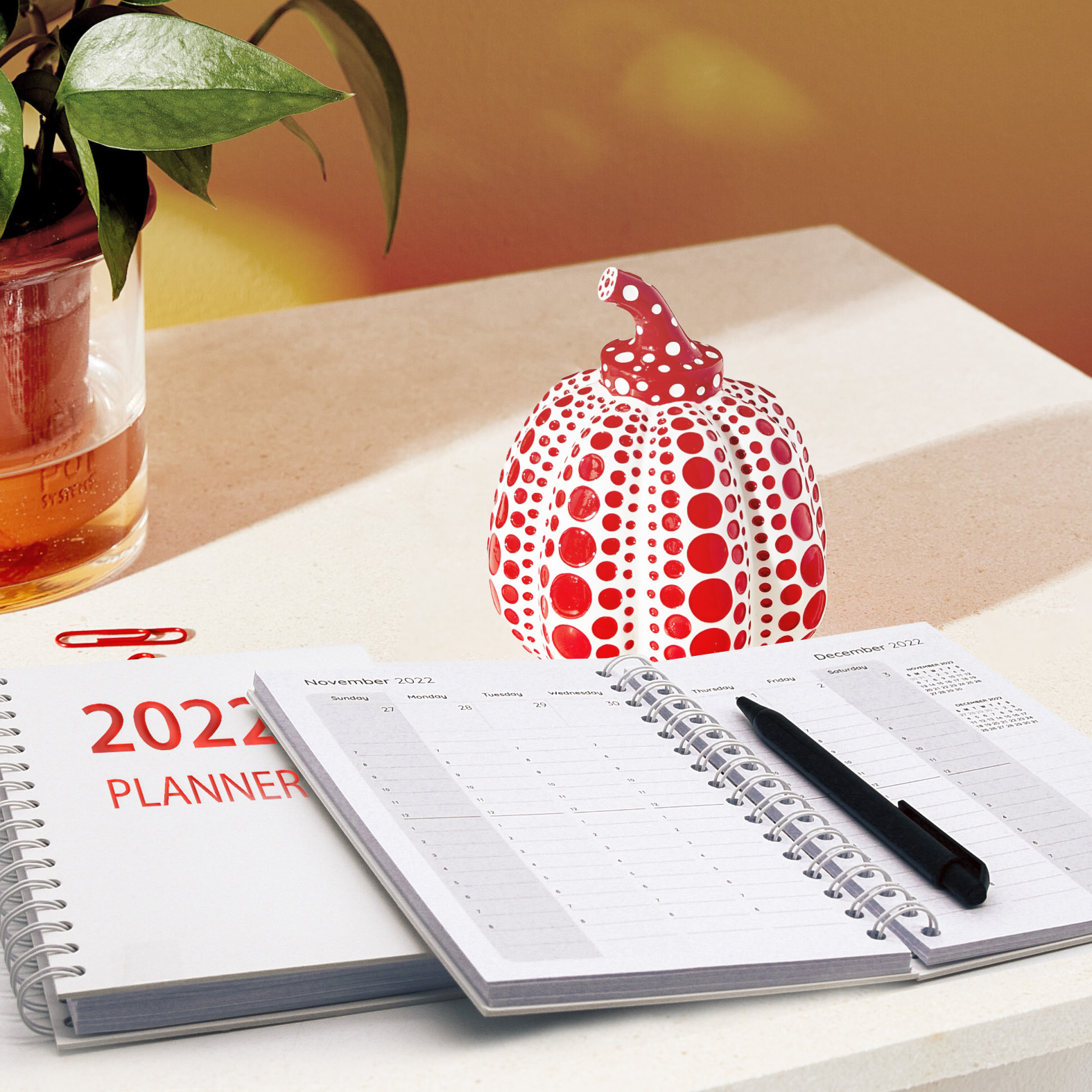 Full Color Spiral Weekly Planner notebook 5" x 7" 1